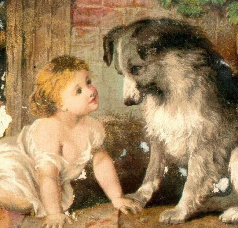 1880s-90s Dr. Jayne's Tonic Vermifuge Quack Medicine Child & Fluffy Dog P101