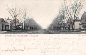 Superior Avenue Looking South Tomah Wisconsin 1907 postcard