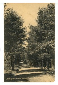 PA - Pocono Lake. Among the Pines ca 1905 