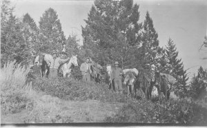 Back Country Pack Horse Outing C-1910 RPPC Photo Postcard 20-3924