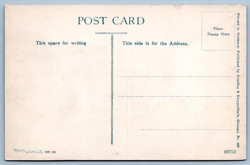 1910's HAMILTON PARK WADING POOL SMALL PARKS SYSTEM IN CHICAGO ILLINOIS POSTCARD