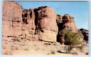 King Solomon's Mines near Eilat ISRAEL 1959 Postcard