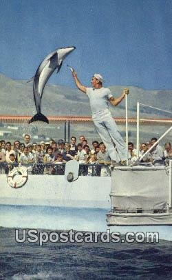 High Jumping Porpoise - Marineland of the Pacific, CA