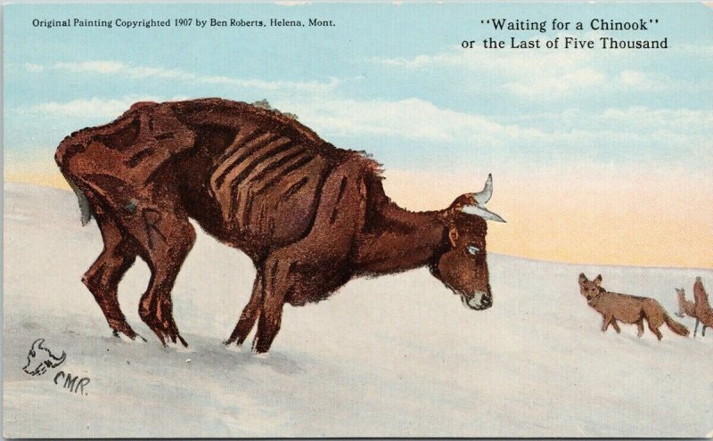 Charles Russell CM Russell CMR 'Waiting For Chinook' MT Cow Coyotes Postcard G10