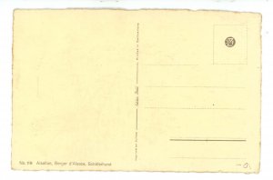 Dogs - Alsatian Wolfhound