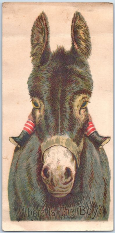 1870s-80s Donkey Chase & Sanborn Standard Java Trade Card #DD