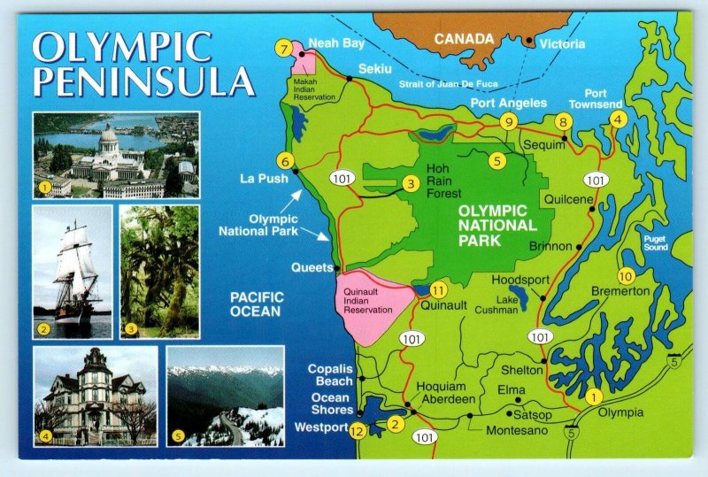 OLYMPIC PENINSULA, Washington WA ~Illustrated Map 1994 ~ 4x6 Postcard