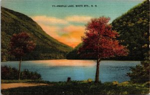 Profile Lake White Mountains New Hampshire Scenic Landscape Linen Postcard 