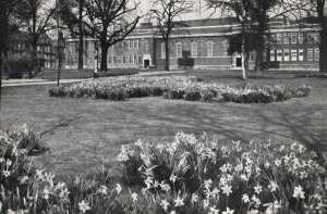 VINTAGE CONTINENTAL SIZE POSTCARD BEDFORD COLLEGE UNIVERSITY OF LONDON