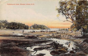 Stewart Island New Zealand Patterson's Inlet Scenic View Postcard AA34340