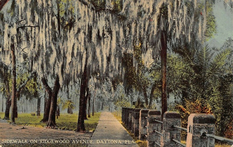 DAYTONA FLORIDA~SIDEWALK-SPANISH MOSS-ON RIDGEWOOD  AVENUE-1910s  POSTCARD