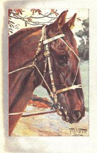 Artist Signed M. Veit Horse Head Postcard