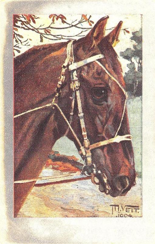 Artist Signed M. Veit Horse Head Postcard