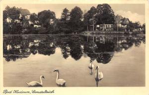 bg19024 Poland Bad Kudowa Sondelteich swan