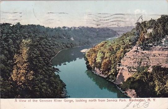 New York Rochester A View Of The Genesee River Gorge Looking North From Senec...
