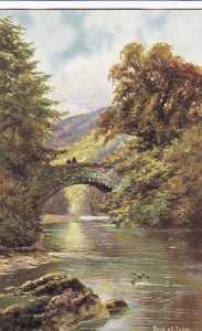 Scotland Postcard - Brig of Turk - Stirlingshire   DP495