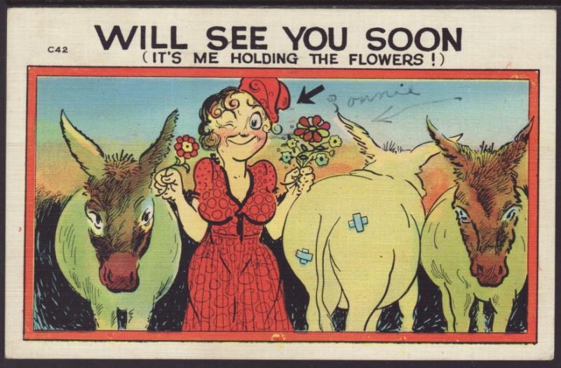Will See You Soon,Woman,Donkeys,Comic Postcard