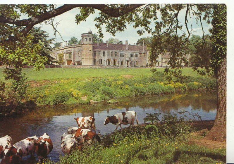 Wiltshire Postcard - Lacock Abbey - Showing Cows - Ref 21014A