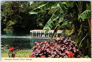 c1970s Silver SPrings, FL Glass Bottom Tour Boat Scenic Flower ABC TV 4x6 PC M13