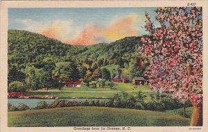 Greetings From La Grange North Carolina 1945