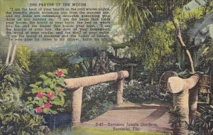 Florida Sarasota The Prayer Of The Woods Sarasota Jungle Gardens