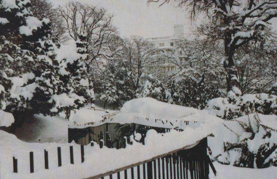 Southend On Sea Essex 1980s Disaster Palace Hotel Arctic Christmas Snow Postcard