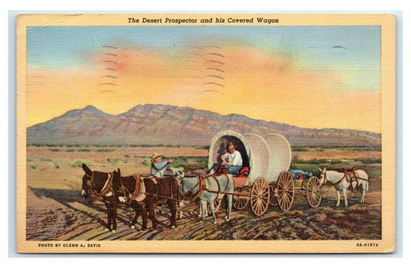 Postcard The Desert Prospector and his Covered Wagon 1947 E54