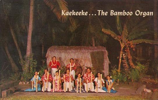 Hawaii Honolulu Kaekeeke The Bamboo Organ 1964