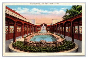 Open Aquarium Key West Florida FL UNP Linen Postcard N24