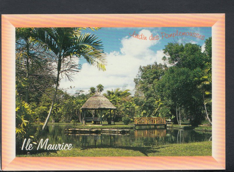 Mauritius Postcard - Botanical Garden of Pamplemousses  T6989 