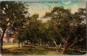 Cedar Grove at Lovers Leap, Waco TX c1908 Vintage Postcard B12