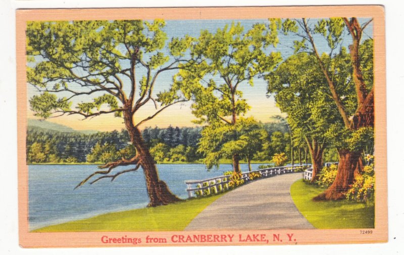 P3219 vintage postcard greetings from cranberry lake new york