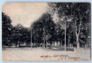 Derby Connecticut Postcard Derby Green Exterior Field Park 1907 Vintage Antique