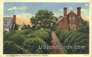 Boxwood at George Washington's Birthplace - Misc, Virginia VA  