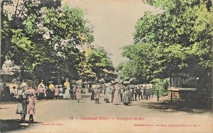 Cincinnati Ohio OH~Zoological Gardens~1900s Helmlinger Tinted Photo Postcard