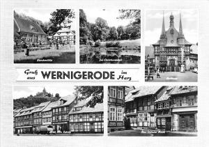 BG3595 gruss aus wernigerode im harz   CPSM 15x9.5cm germany