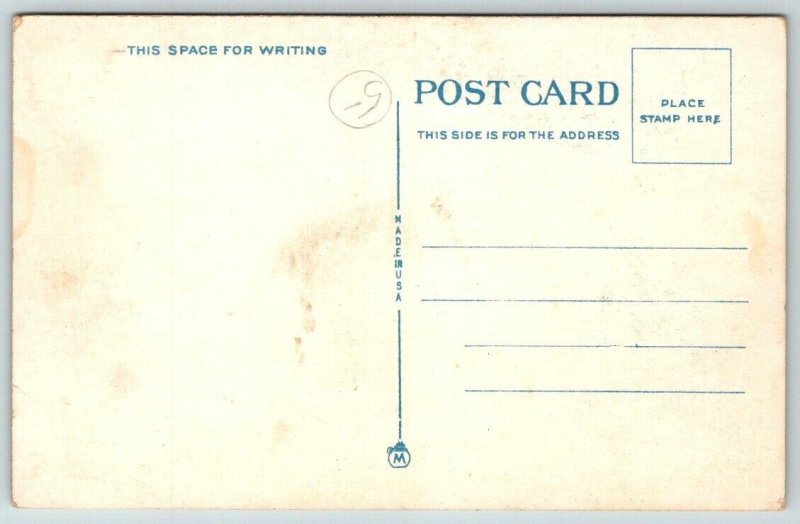 Steamer Montreal St. Lawrence River  Canada  Postcard