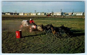 SASKATOON, Saskatchewan Canada ~ Pion-Era PONY CHUCKWAGON RACE 1973  Postcard