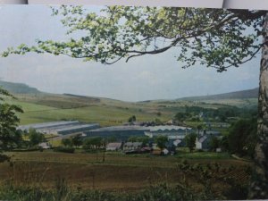 Vintage Postcard Hillside View of Glenfiddich Distillery Dufftown Banffshire