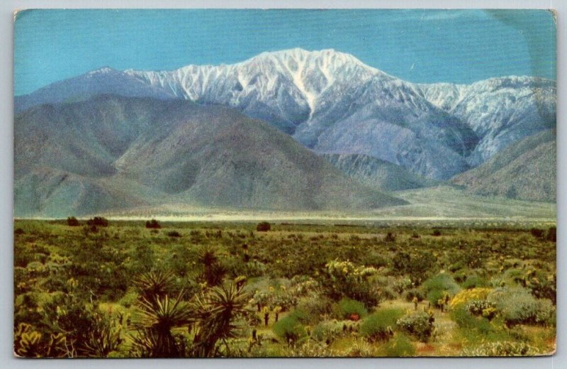 Union Oil Company - Scenes of The West - 76 Gasoline - San Jacinto Mountain