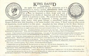 Louisiana Missouri c1910 Postcard King David Apples Stark Brothers Nurseries