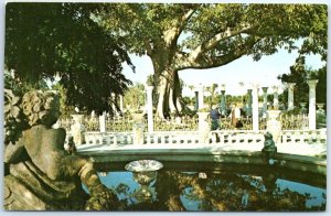 Postcard - The Beautiful Kapok Tree at The Kapok Tree Inn - Clearwater, Florida