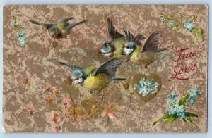Valentine Postcard Birds Hearts And Flowers Winsch Back Embossed 1910 Antique