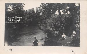 D48/ Rockwell Iowa Ia Real Photo RPPC Postcard 1908 Beaver Dam at Flood