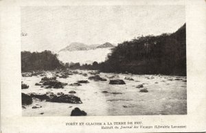 chile, Tierra del Fuego, Forest and Glacier (1920s) Postcard