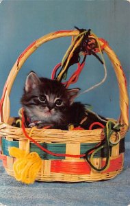 Kitten with Yarn Cat 1964 