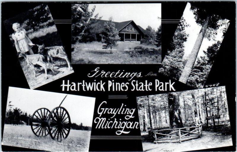 RPPC  GRAYLING, Michigan  MI  Multi View  HARTWICK PINES STATE PARK    Postcard