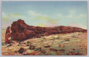 Linen~Petrified Forest Arizona~Nez by Big Log~Vintage Postcard