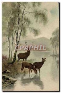 Old Postcard Deer Hunting Biches
