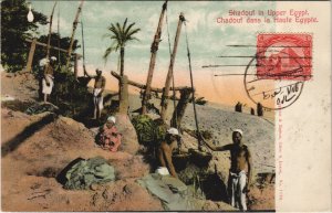 PC EGYPT, SHAADOUF IN UPPER EGYPT, Vintage Postcard (b43934)